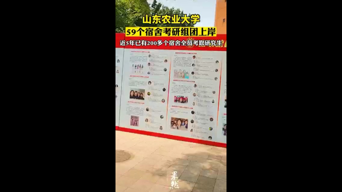 山东农业大学59个宿舍考研组团上岸，近5年已有200多个宿舍全员考取研究生