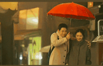 因为他们的故事，让我想立刻结束单身状态