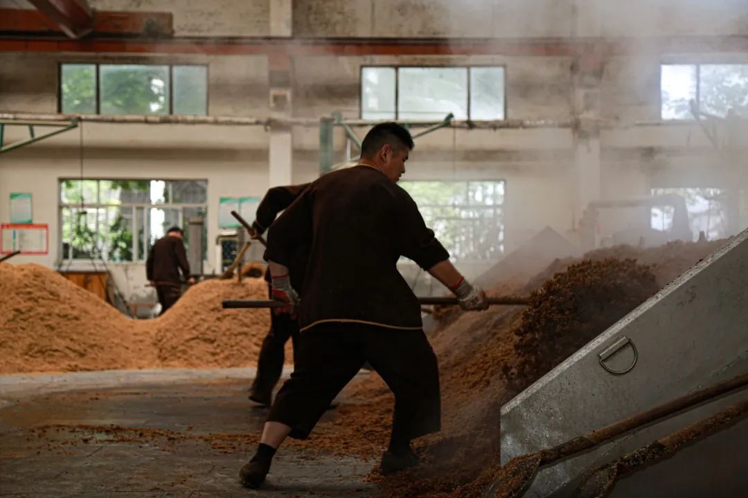 弘扬工匠精神 提升酿酒技能|花冠酒业举办"酿酒技能考核"活动