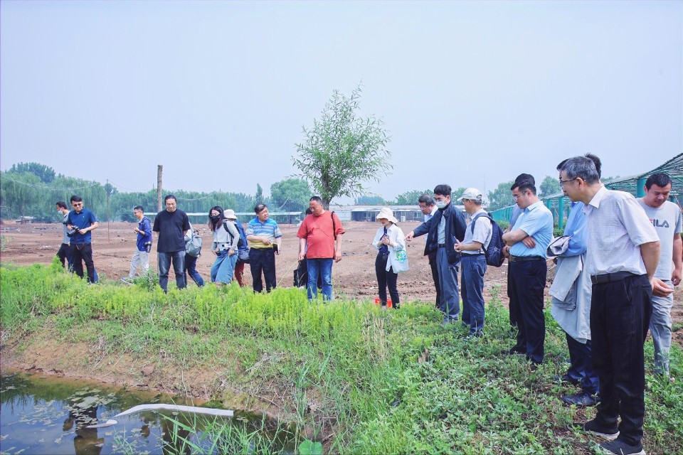 大地文心|施家崖村：推行循环立体种养 打造“低碳社区” 