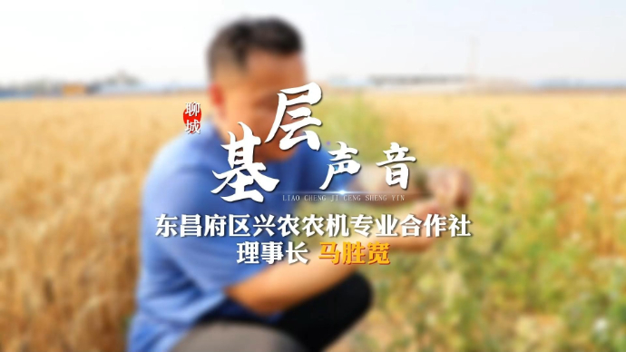 聊城基层声音|马胜宽的生态小麦丰收记：三百亩地能多收9万多元