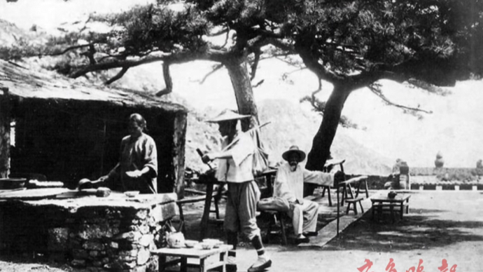 挚爱老泰城｜20世纪20—30年代，泰山五大夫松