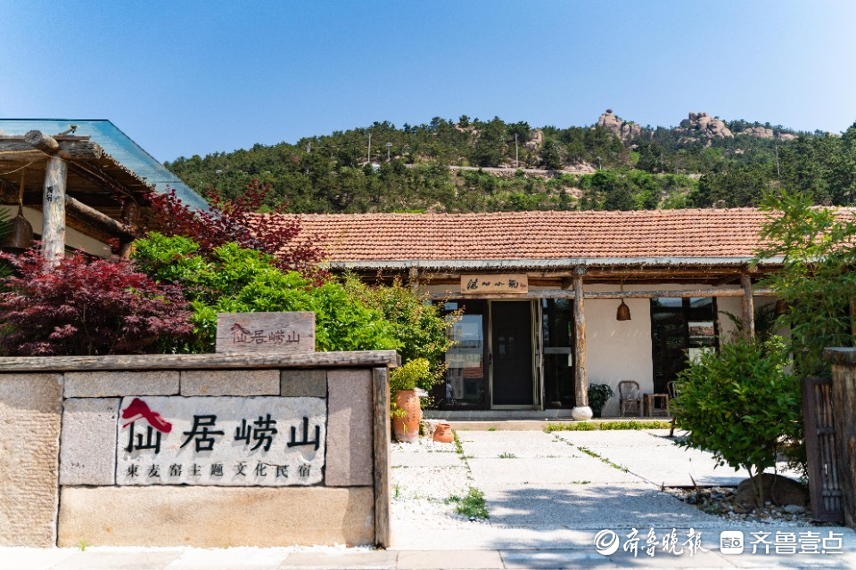 崂山东麦窑村抢抓乡村振兴示范片区建设机遇,探索强村富民新路径-齐鲁