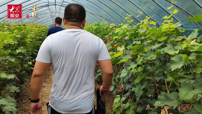 果然视频|聊城消防救助国家二级野生动物狗獾