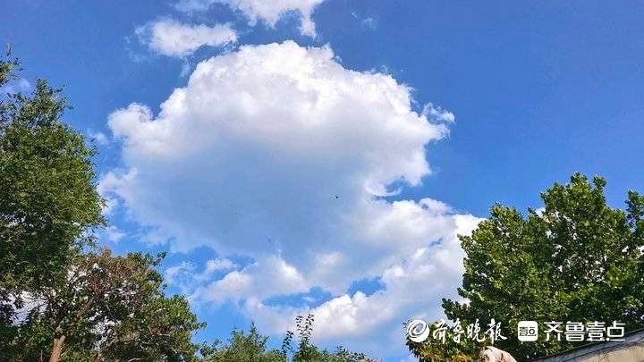 7月看巧云,济南天空朵朵棉花状白云,美爆-齐鲁晚报·齐鲁壹点
