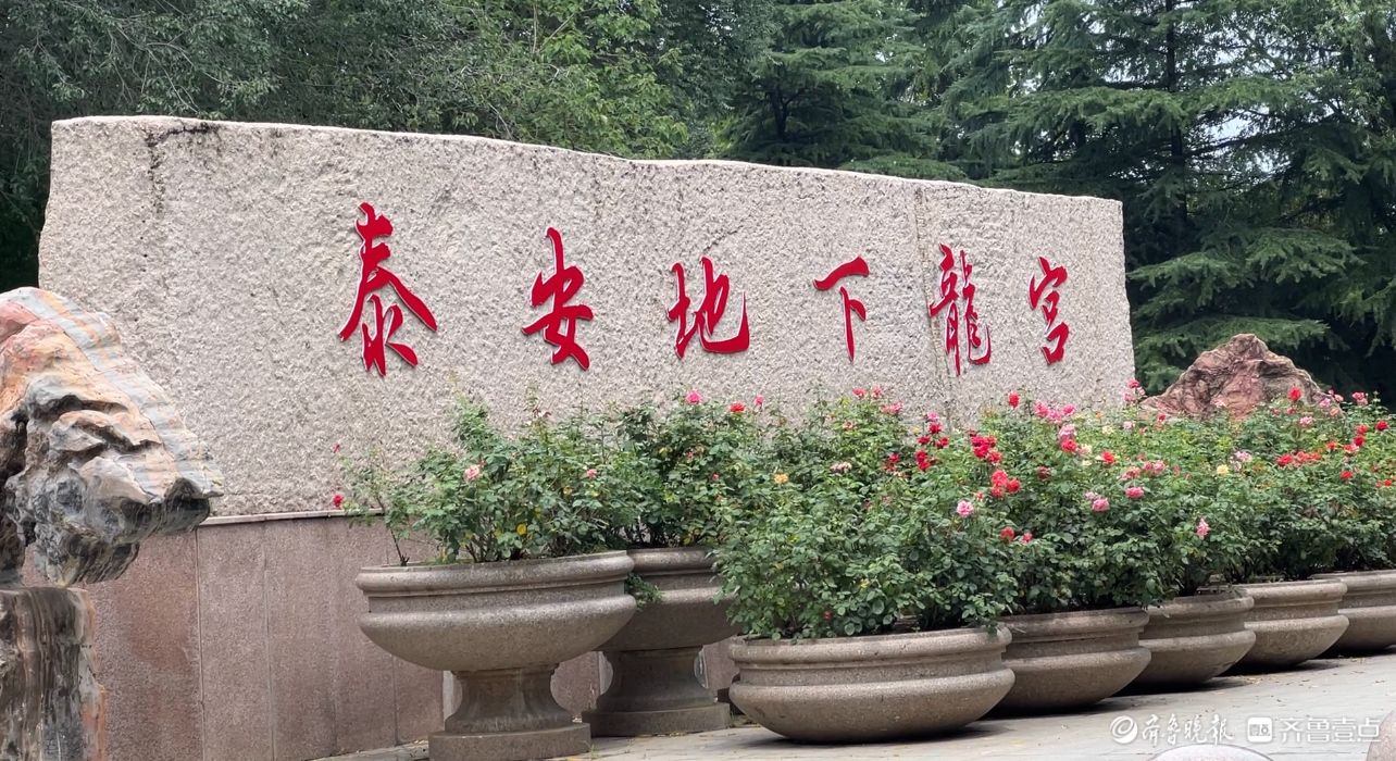 泰安地下龙宫游客买药材被套路消费万余元?