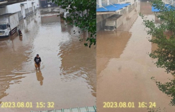 百万册图书将报废，网友求购泡水书？中图网：不会给的，因为……