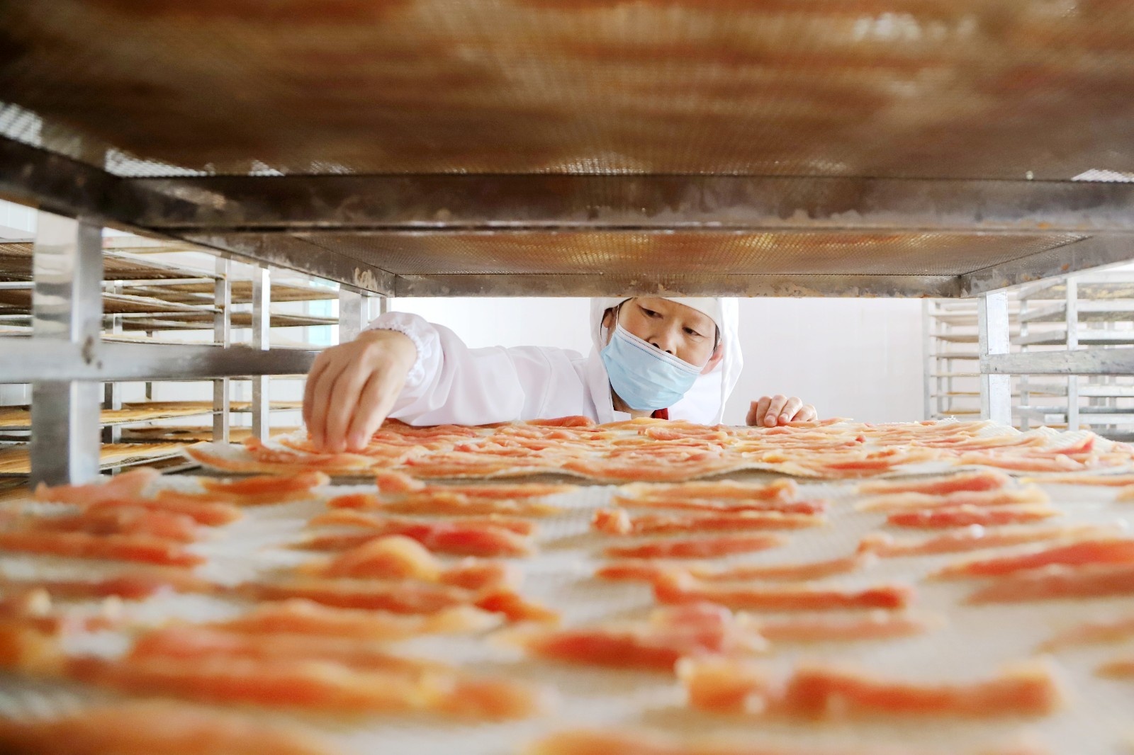 两年上市四家 宠物食品代工厂何以"抢跑"成功-齐鲁晚报·齐鲁壹点