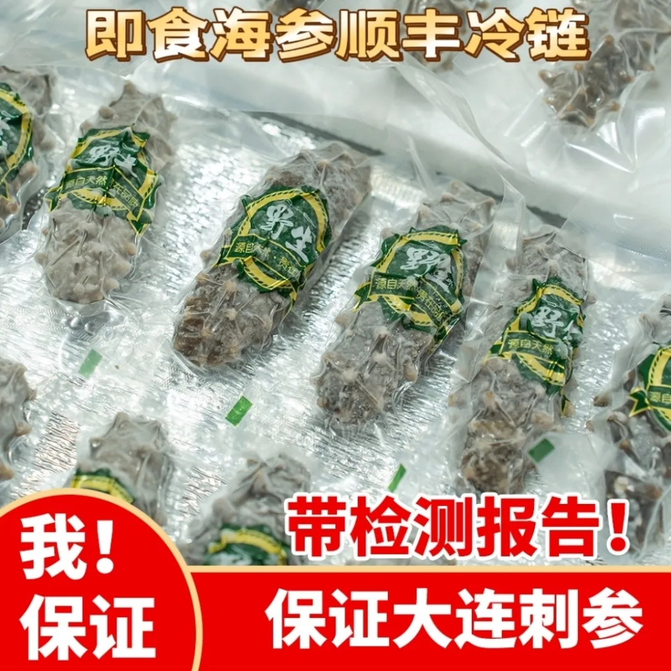  黄渤源即食海参正宗大连野生刺参鲜食辽参独立装新鲜海产品非淡干冰鲜海参商品图5