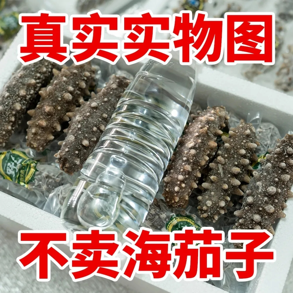  黄渤源即食海参正宗大连野生刺参鲜食辽参独立装新鲜海产品非淡干冰鲜海参商品图9