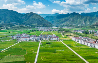 “鸿雁人才”陈广利：科技创新助力群众增收致富