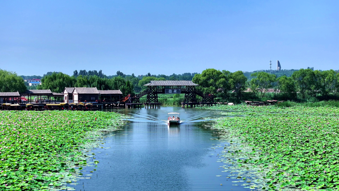 文旅融合欢度国庆，微山县全域旅游攻略带你感受大美微山文化魅力