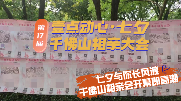 壹直播|七夕与你长风渡！千佛山相亲会开幕即高潮，记者带您探访