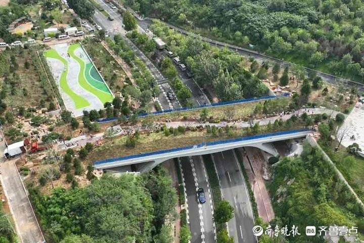 植被覆盖率达90%以上！济南“生态桥”来了