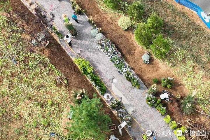 植被覆盖率达90%以上！济南“生态桥”来了