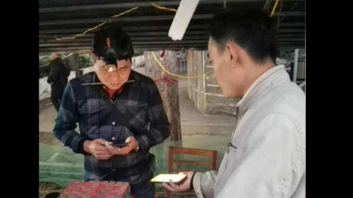 果然视频丨清晨的宁阳黑风口蟋蟀市场，160元成交一只蟋蟀