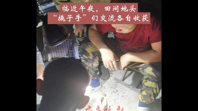 果然视频丨泰安宁阳田间地头，众人直呼“牙不孬”