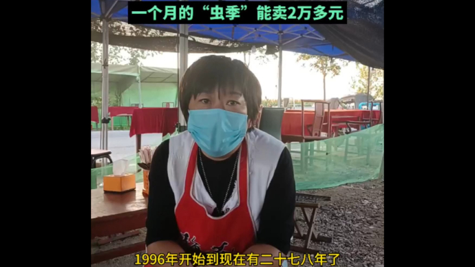 开在宁阳县蟋蟀市场的早餐店，一个月的“虫季”能卖2万多元