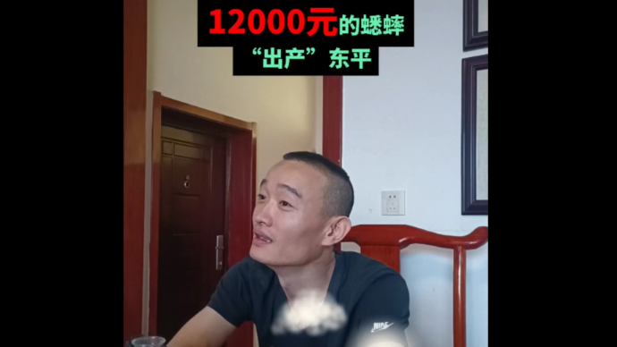 宁阳人去外地逮蟋蟀，“出产”在东平的一只虫卖了12000元
