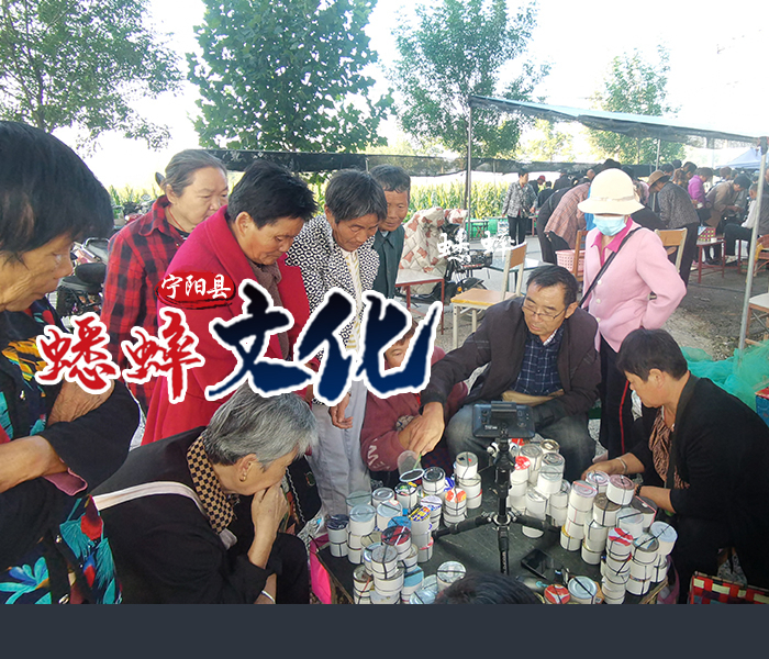 8月28日，记者跟随宁阳县“撬子手”队伍，从下地抓蟋蟀，再到市场交易，了解地域风情，感受蟋蟀文化。

立秋过后，早晨五六点钟的宁阳乡饮街头，热闹非凡,“蟋蟀”成了大家谈论的唯一话题,“今天捉了几只”“卖了多少钱”是这个时候彼此打招呼的常用语。

衣、食、住、行、用都与蟋蟀有着或多或少的关联,来自全国各地的蟋蟀爱好者齐聚宁阳县乡饮乡，探寻着自己心仪的蟋蟀爱将。