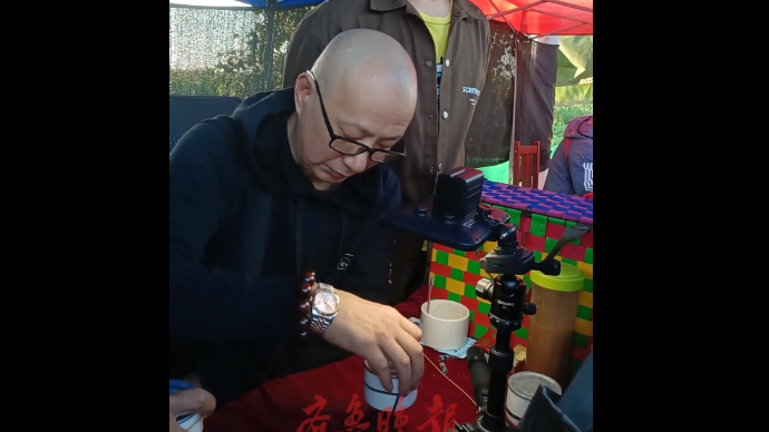 果然视频丨浙江客商到宁阳收蟋蟀，两个小时过目了200多只