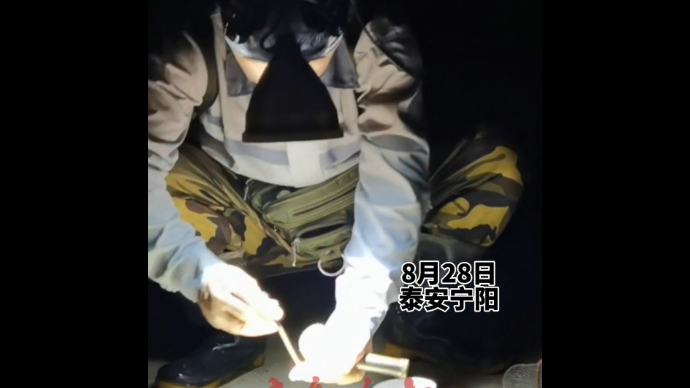 果然视频丨泰安宁阳“撬子手”趁着夜色下地捉蟋蟀