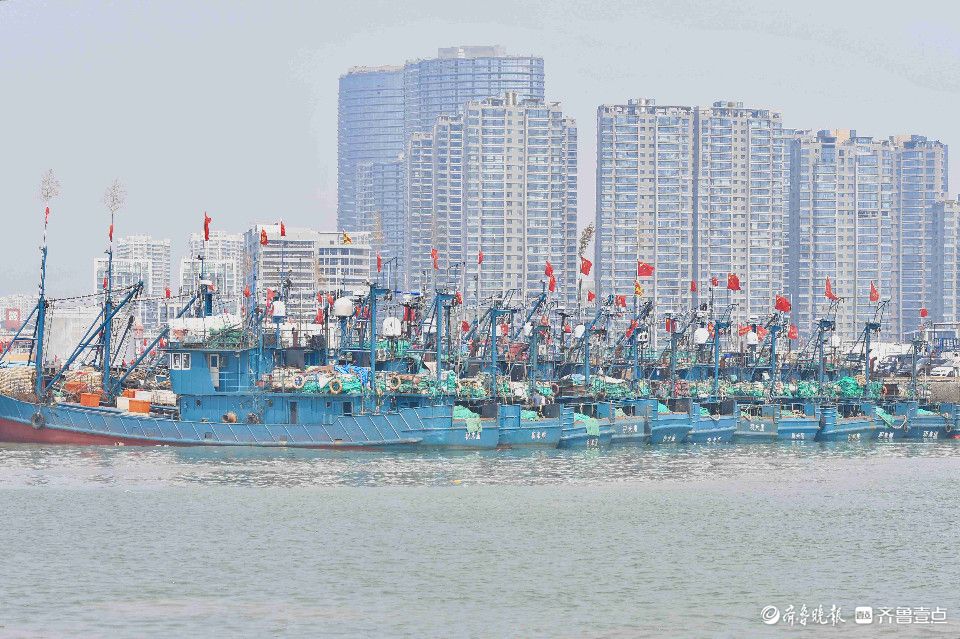 积米崖中心渔港渔船驶向深海"追鲜"