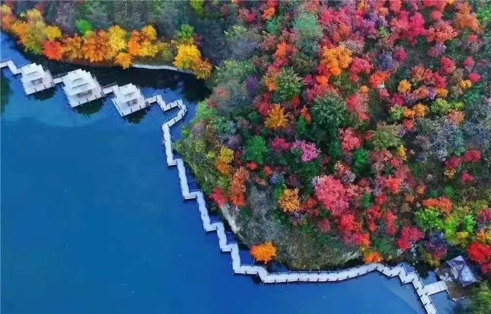 济南漫游季｜双节假期来济南观斑斓秋色，漫游近郊山野