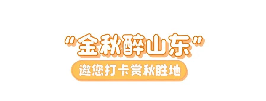 双节来临，三大主题产品邀您“畅游齐鲁 乐享金秋”