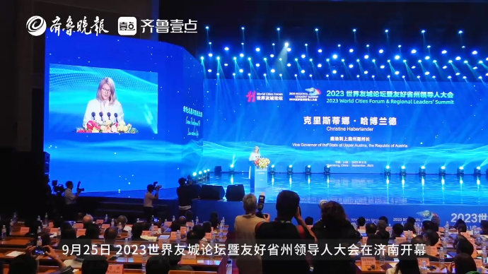 奥地利上奥州副州长：面对任何挑战 只要携手总能应对