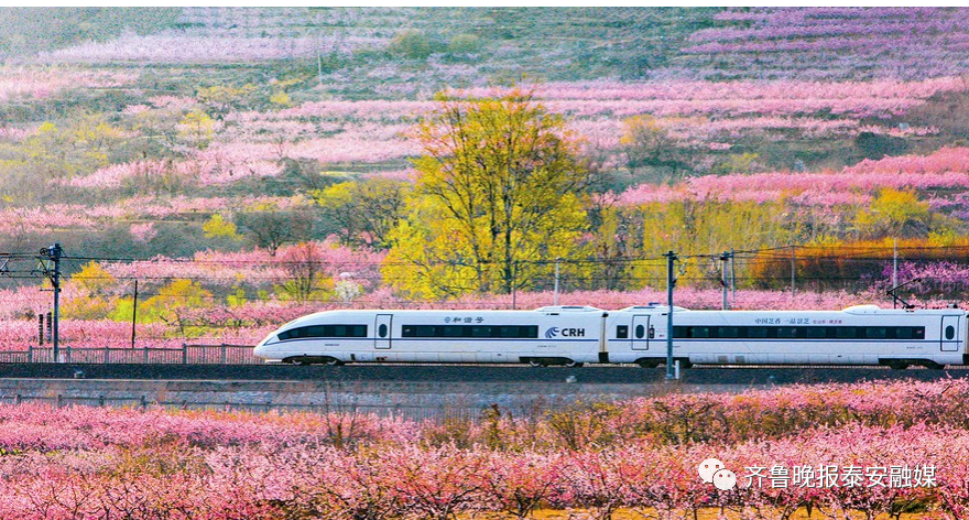 泰山列榜首，东平湖上榜！山东35个热点景区“追景指数”出炉