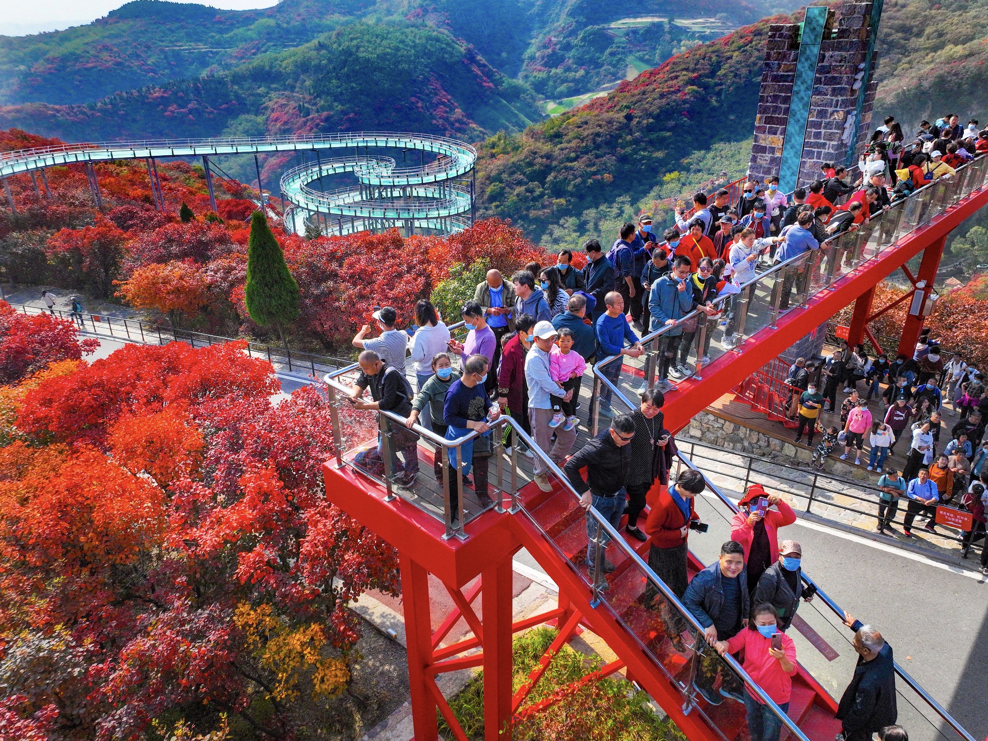 告别夜之璀璨红叶柿岩浪漫漂流红叶季10月14日盛大开幕