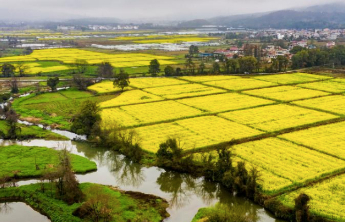 费县万亩生态山楂园映红乡村振兴路