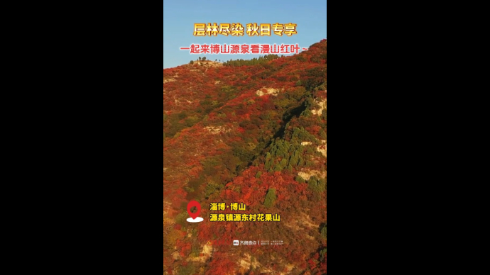 层林尽染，秋日专享！一起来淄博博山源泉看漫山红叶