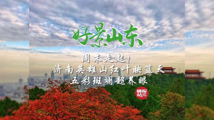 果然视频·好景山东|济南英雄山红叶映蓝天,五彩斑斓超养眼!