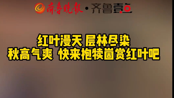 红叶漫天层林尽染秋高气爽，快来抱犊崮赏红叶吧