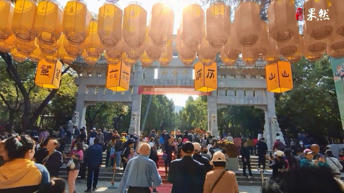 果然视频|重阳节登高望远，济南万千游客奔赴千佛山