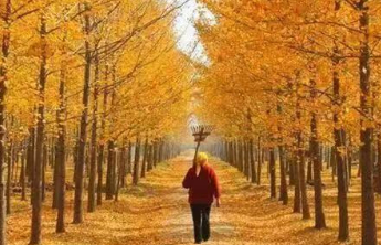 种养结合循环发展 探索绿色发展道路