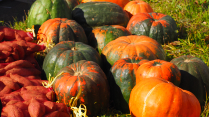 果然视频|济南南山金秋迷人，路边的水果蔬菜等山货好吃好看