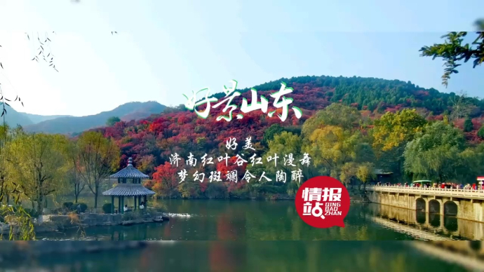 果然视频·好景山东|济南红叶谷红叶漫舞，梦幻斑斓令人陶醉！