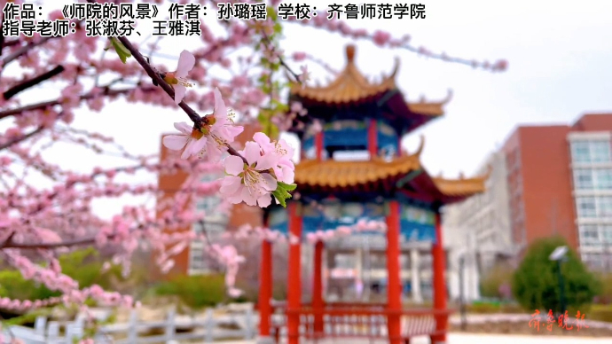 寻找山东最美大学|齐鲁师范学院孙璐瑶:《师院的风景》