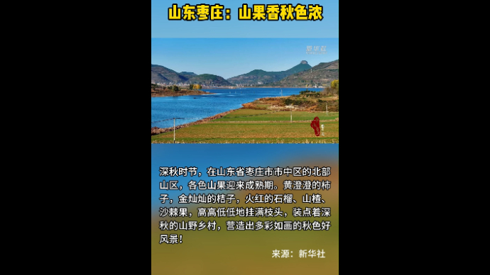 山东枣庄：山果香秋色浓