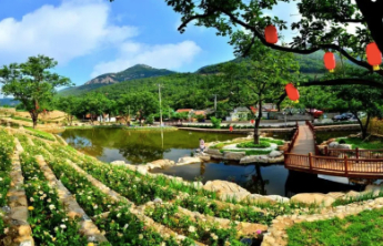 莱阳市河洛镇“全链条”推进梨产业发展