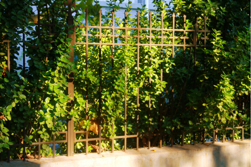 寻找山东最美大学|山东财经大学东方学院李靖：《东大的律动》