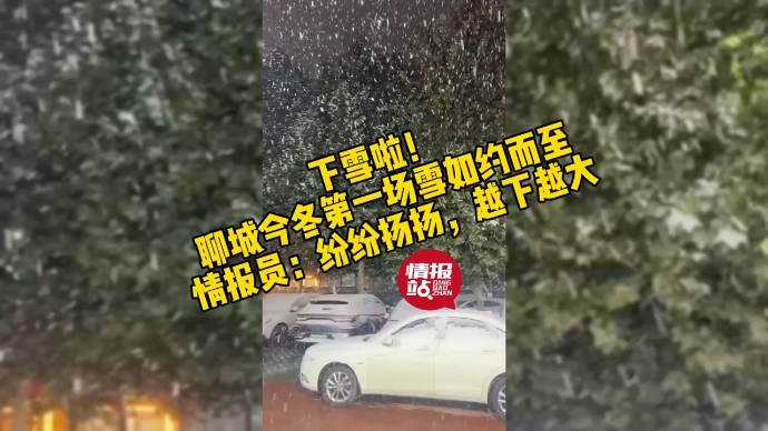 果然视频|下雪啦！聊城今冬第一场降雪如约而至，情报员直击雪情