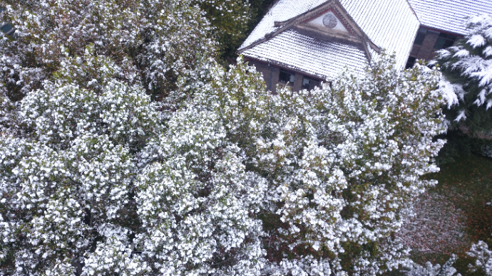 果然视频|2023冬季的第一场雪，济南瑞雪覆盖美丽洁净