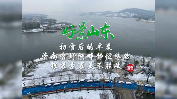 果然视频·好景山东|初雪后的早晨，济南雪野湖银装素裹静谧悠然