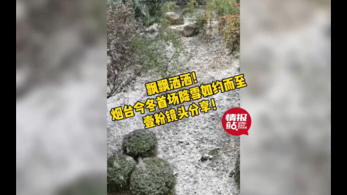 果然视频|飘飘洒洒！烟台今冬首场降雪如约而至，壹粉镜头分享