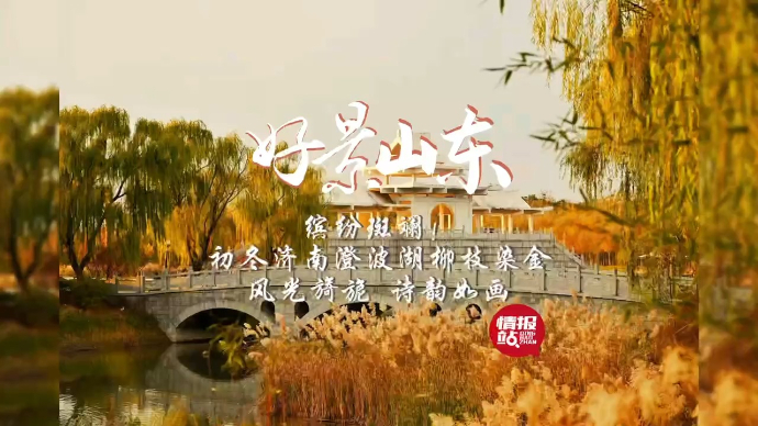 果然视频·好景山东|初冬济南澄波湖柳枝染金，风光旖旎诗韵如画