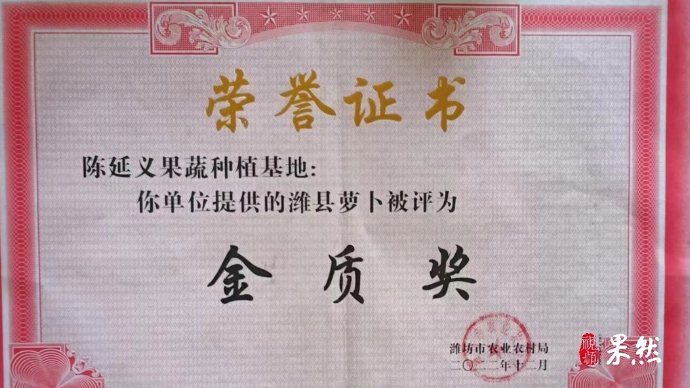 果然视频|延义果蔬18日将亮相寒亭潍县萝卜品鉴会